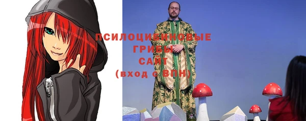 Альфа ПВП Осинники