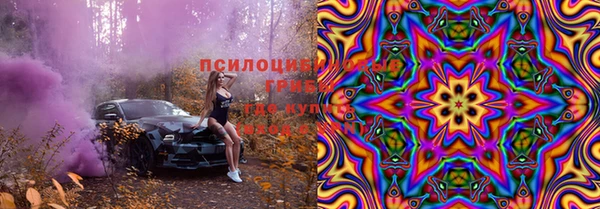 Альфа ПВП Осинники
