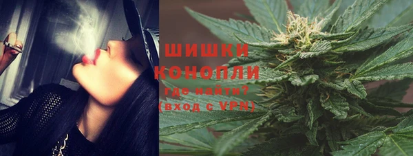 Альфа ПВП Осинники